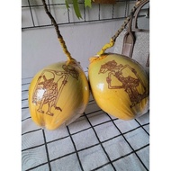 7-month-painted ivory coconut 7-month-old coconut/, Javanese traditional, tingkepan/