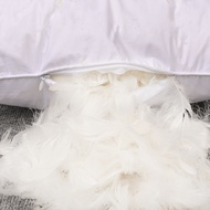 Hotel Goose Feather Pillow Feather Pillow Household B & B White Goose Feather Piece Pillow Core Sing