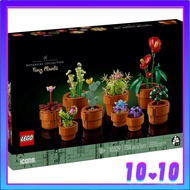 [CNY PROMO] LEGO 10329 ICONS Botanical Collection Tiny Plants