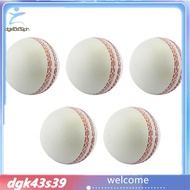 [Pretty] Sports Cricket, Training Cricket, Sports Wind Swing Rebound  Cricket, Elastic Decompression
