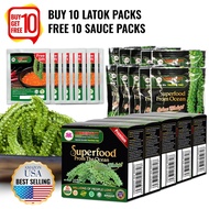 LONGEVITY Latok Seagrapes fresh sea grapes - USA Best Seller on Amazon - HALAL