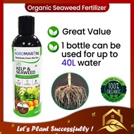 Seaweed Fertilizer / Root Booster / Root Growth Promoter / Stronger Plant Root 200ml