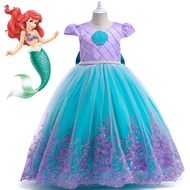 Ariel and Elsa Themed Princess Dress