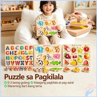 Wonderbaby Wooden Cognitive Knob Puzzle Wooden Cognitive Knob Puzzle Toddlers Educational Play