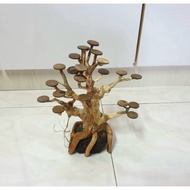 bonsai aquascape driftwood aquascape decoration