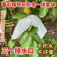 番石榴套袋芭乐网套红心番石榴专用防虫网套袋水果一体泡沫网批发8.11 Guava bagging net, guava protective net, special anti-insect bagg