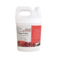 Bio Marine Organic Oil Palm Concentrated Fertilizer Soil Enhancement Baja Kelapa Sawit Organik Sembur Baja Pekat 4L