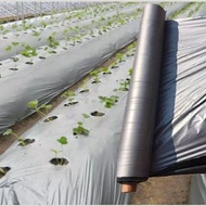 Plastic Mulch Film(3ft x 400m x .33microns - 1 Roll) From Taiwan