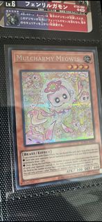 遊戲王 亞英  貓g  Mulcharmy Meowls