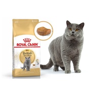 Royal Canin British Shorthair Adult (4kg) Dry Cat Food Makanan Kucing – Feline Breed Nutrition