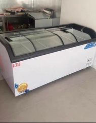 ❄️廠家直銷【全新】冷凍柜 雪糕柜 冰櫃 商用 冷凍 速凍 臥式 單溫 家用#冰櫃#雪糕柜#冷櫃#Freezer
