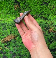 能量擺飾-天然幾何紫光x火焰光拉長石  旺姻緣 財運水晶 快速出貨