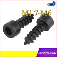 Hex Socket Cap Head skru/Self-tapping Screw Wood Tapping/Black Grade 8 Button Allen Screws M1.7/M2/M
