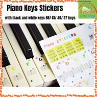 🌈 Piano Keys Stickers Removable Transparent Keyboard Stickers 25/49/61/76/88 keys Beginner Learning 