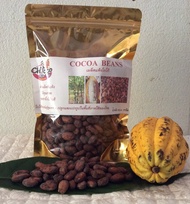 เมล็ดโกโก้แห้ง Cocoa Beans ขนาด 500 กรัม/1000 กรัม สามารถนำไปคั่ว ทำเป็นโกโก้นิปส์ ทำช็อกโกแลต เครื่