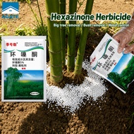 Herbicide Hexazinone Racun rumput berkesan Herbicide mati akar  Removing big trees&bamboo 除草剂