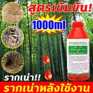 💥1หยดเดียวต้นไม่ใหญ่ก็ตาย💥 ยาฆ่าต้นไม้ใหญ เข้มข้นสุด1000ml 1ขว เท่ากับ50ขวด ยาฆ่าตอต้นไม้ ตรงไปที่รา