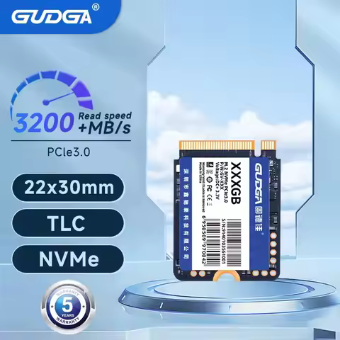 GUDGA Nvme 2230 1TB 512GB PCIE3.0x4 Internal Hard Disk SSD M2 for Steam Deck Microsoft Surface Lapto