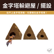 [Reptile Special Attack Team] 24 Hours Gecko Pyramid Hiding House|Reptile Landscaping|Gecko Landscap