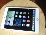 ipad mini 5 wifi 256G