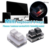 DANILOWM Copy Paste Keypad, Keypad Red Switch Custom Mini 2 Key Keypad, Keypad Accessories Mini Illu