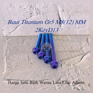 Titanium Bolt Gr5 M8 MM 2Key D13/Bolt 12 Length 10-45mm