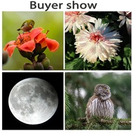 Professional 420-800mm F8.3-16 Manual Focus Telephoto Zoom Lens Manual Telephoto Zoom Lens