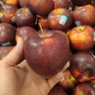 buah apel bravo australia 1kg buah apel import segar