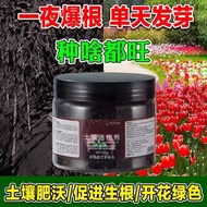 Aktivator Tanah Organik Serbuk Merangsang Akar Meningkatkan Kesuburan Tanah 100g 土壤活化剂家庭园艺通用养花种菜松土肥料
