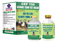 Chính hãng Cặp 2 chail Cef 750 gà vịt chuyên ecoli bại huyết