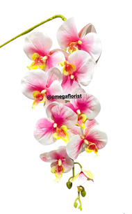 Bunga Anggrek  Latex Premium Tebal Orchid Flower Real Touch 9 Kuntum Hiasan Dekorasi Palsu Plastik