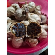 Bawang Hitam Black Garlic Homemade Bawang putih hitam