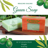 Healing Galing EC 27 Guava Soap Plus