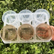[9cm] 6 Grid Bracket Transparent Plastic Flowerpot Tidy-up Tray Cuts