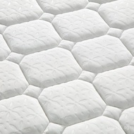 Home Spring Mattress for Homestays, Thickened Latex, Independent Apartment20cm Simmons Hotel Five-St