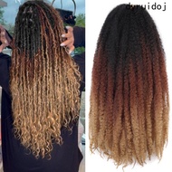 DYRUIDOJ Marley Twist Braiding Hair, Synthetic Ombre Afro Kinky Curly Crochet Hair, Afro Black Hairs