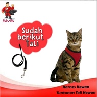 Harness Cat Dog Ferret Dog
