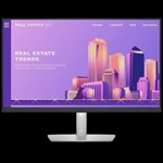 Màn hình Dell 24 (P2422H) - (23.8"/FHD/IPS/60Hz)