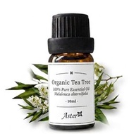 有機澳洲茶樹香薰精油 (Melaleuca alternifolia) - 10ml