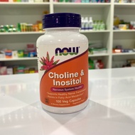 Choline & Inositol By now USA Health Supplement Nourishes The Nervous System
