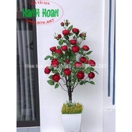 Cây Hoa Hồng Trà Búp 1m15 cao cấp - Cây hoa trang trí