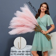 Artificial Plants Faux Pampas Grass 100/80/60/50Pcs/30pcs/20pcs/15pcs/10pcs/5pcs/1pc 55CM / 97CM Pin