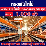 กรงไก่ไข่ กรงตับไก่ไข่ กรงเลี้ยงไก่ไข่ 1000 ตัว พร้อมอุปกรณ์ให้น้ำระบบนิปเปิ้น+รางอาหาร