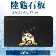 Normo NOMO Tortoise Slate (40 X 25cm) Claw Grinding Reptile Feeding Stone Piece Toenail Keeping Warm