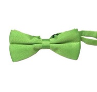 หูกระต่ายสีพื้นเขียวbow tie