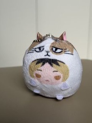 【換/放】排球少年掌心動物娃娃 盲盒公仔🧸研磨