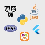 [SERVICE] PHP | HTML | CSS | JS | PYTHON | FLUTTER | JAVA | MIT APP | CODING HELPER