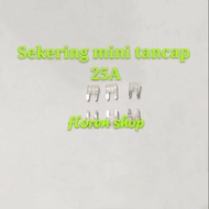 25A mini fuse