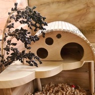 KAYU Wooden hamster House | Round Wood hideout hamster | Hamster dome House | Hamster House | Hamster hidding cave gecko Reptile | Hamster Hideout | Hamster Cage Decoration | Hmaster Cage Decoration