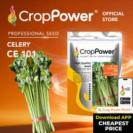 (200 GRAM) Biji Benih Daun Sup Saderi Big Salary 大薪 CE101 CROP POWER Celery seeds 芹菜 CE 101